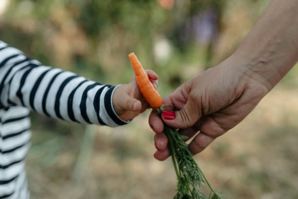 istock Close-Up Of Hand Holding Fruit 1325198657