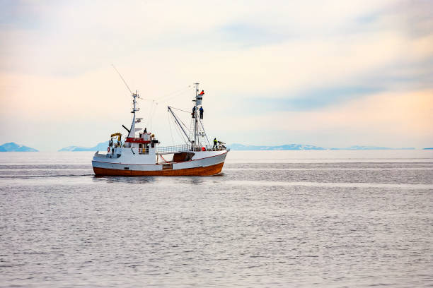 walfangschiff mit harpune und einem schaulustigen auf dem mast - fischkutter stock-fotos und bilder