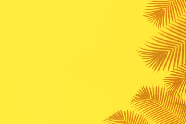 istock Top view of tropical leaf with copy space, Palm leaf, 3D rendering 1325202127