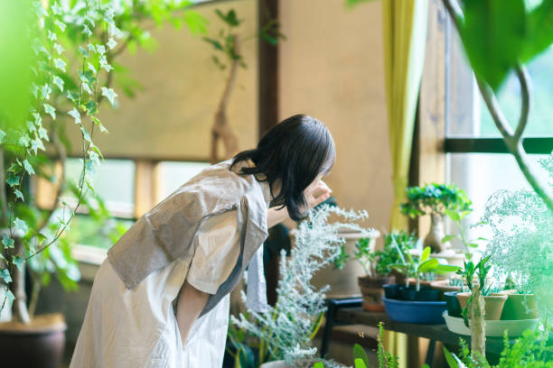 istock A young woman looking at the foliage plants 1325203981