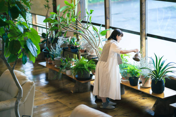 istock A young woman looking at the foliage plants 1325204024