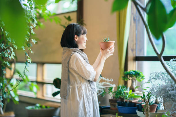 istock A young woman looking at the foliage plants 1325204049