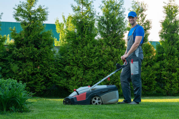 istock Young gardener in overalls uses a lawn mower on the plot 1325204075