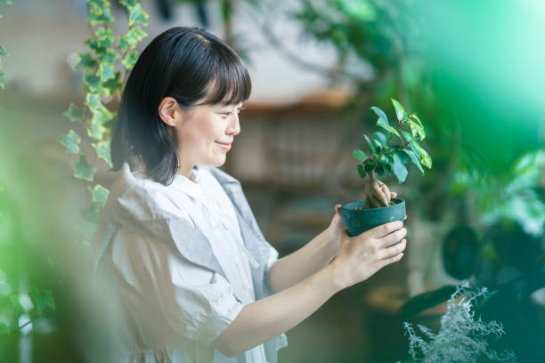 istock A young woman looking at the foliage plants 1325204096