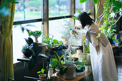 Una mujer joven mirando las plantas de follaje photo