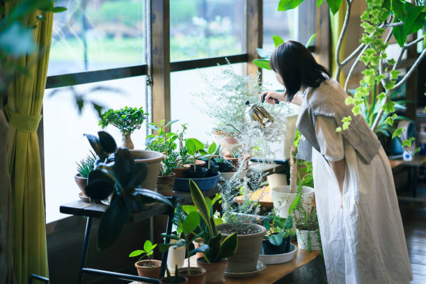 istock A young woman looking at the foliage plants 1325204606