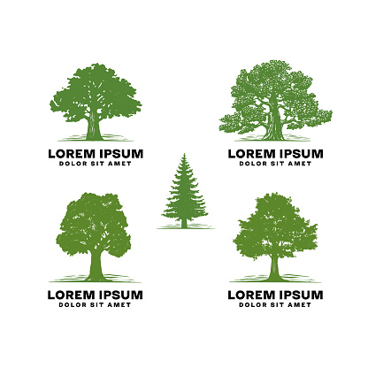 Old Oak Professional Arborist Tree Care Service Organic Eco Sign Concept. Landscaping Design Craft Raw Logo. Vector Banner Illustration