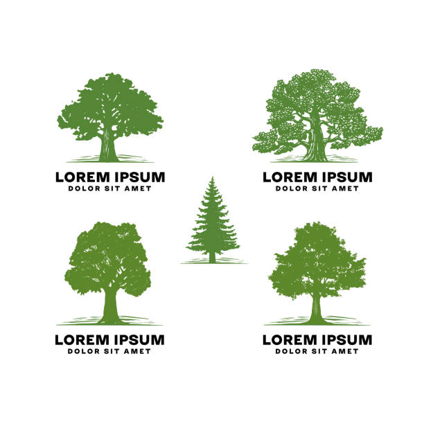 Professional Arborist Tree Care Service Organic Eco Sign Concept. Landscaping Design Craft Raw Logo. Rustic Vector Banner Illustration vector art illustration