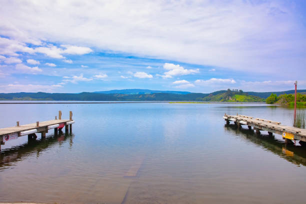 twin wooden jetties in lake rotoiti, new zealand - båtramp bildbanksfoton och bilder