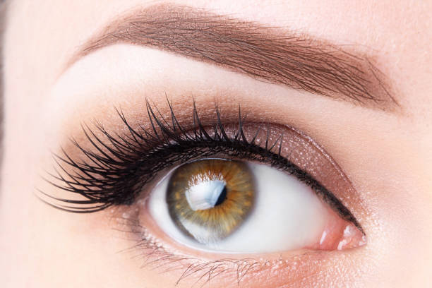 Maquillaje Permanente De Ojos - Banco de fotos e imágenes de stock - iStock Maquillaje Permanente De Ojos - Banco de fotos e imágenes de stock - iStock