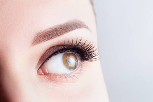 istock Eye with long eyelashes, beautiful makeup and light brown eyebrow close-up. Eyelashes lamination, microblading, tattoo, permanent, cosmetology, ophthalmology concept 1325209524