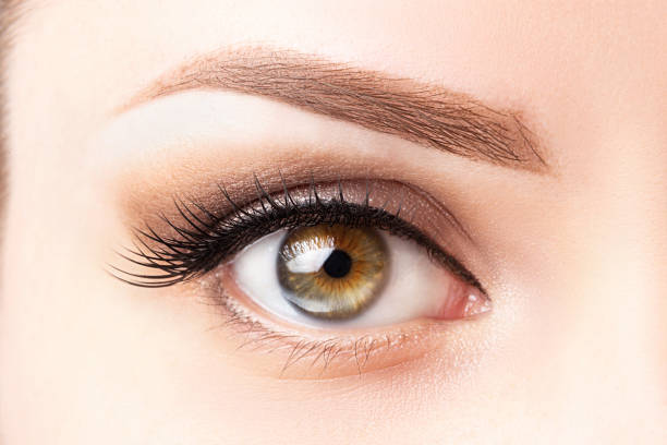 istock Female eye with long eyelashes, beautiful makeup and light brown eyebrow close-up. Eyelash extensions, lamination, microblading, cosmetology, ophthalmology concept 1325209773