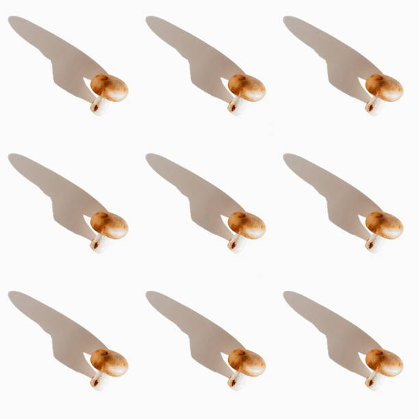 istock Pattern made of portobello mushroom 1325212086