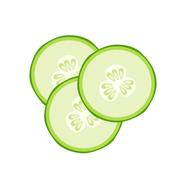 Fresh cucumber slices, vector illustration of vegetables for use in recipes, cosmetics. Fresh cucumber slices, vector illustration of vegetables for use in recipes, cosmetics cucumber slice stock illustrations