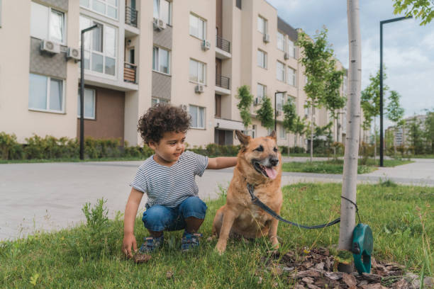istock Boy walking with dog outdoors in summer 1325220610