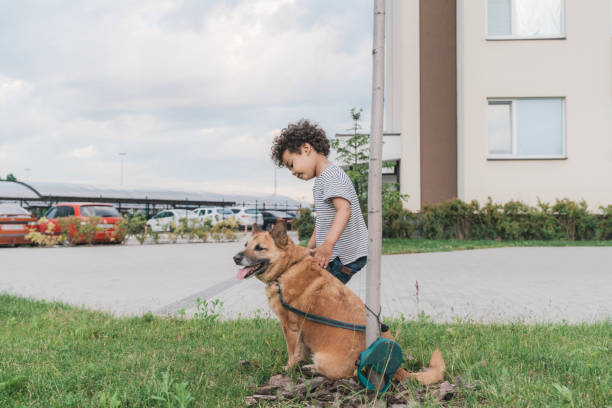 istock Boy walking with dog outdoors in summer 1325220684