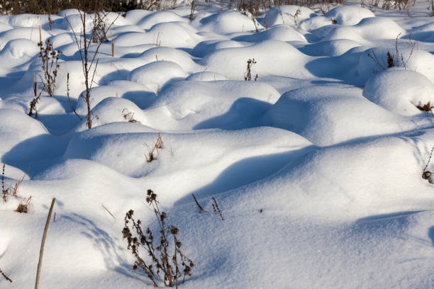 istock snow cover the grass and dry plants 1325221059