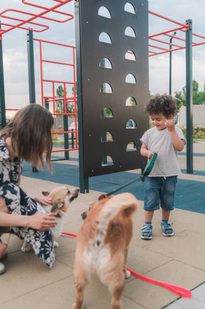 istock Mother with 3 years old boy walking dog outside 1325222821