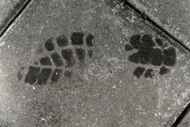 istock Wet footprint on concrete. 1325223115