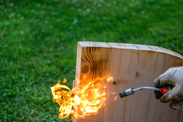 flamme vive lors de la cuisson du bois. - gas fitter photos photos et images de collection