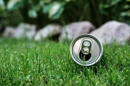 An open aluminum can lies in the grass, amid a mown lawn and a flower bed framed with stones.