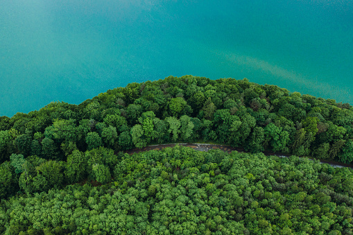 Drone panoramic photo of the fjord like crystal blue lake and the green pine forest in Ukraine