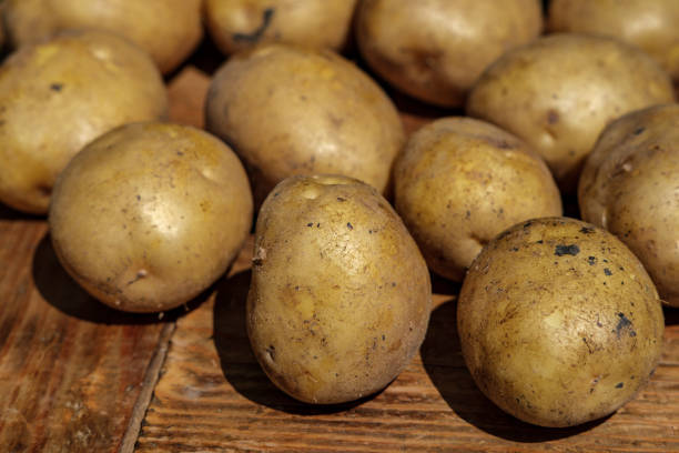 istock Young potatoes are poured, close-up. 1325232440