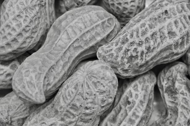 Close up of peanuts
