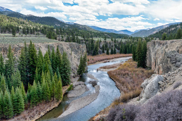 istock River in mountains of Colorado 1325237298