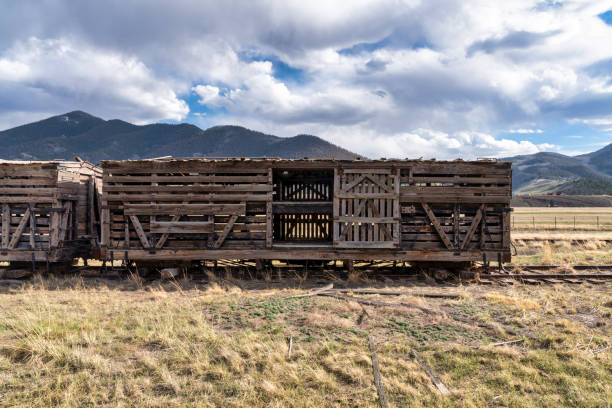 istock Old abandoned train in Colorado mountains 1325238611