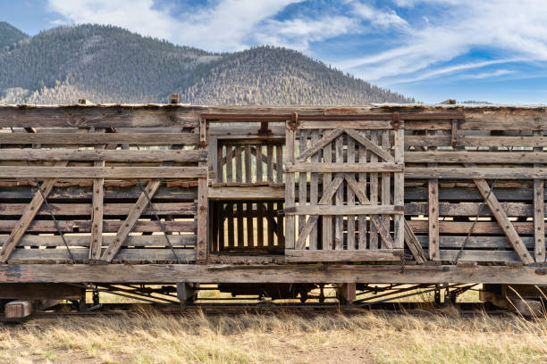 istock Old abandoned train in Colorado mountains 1325238614