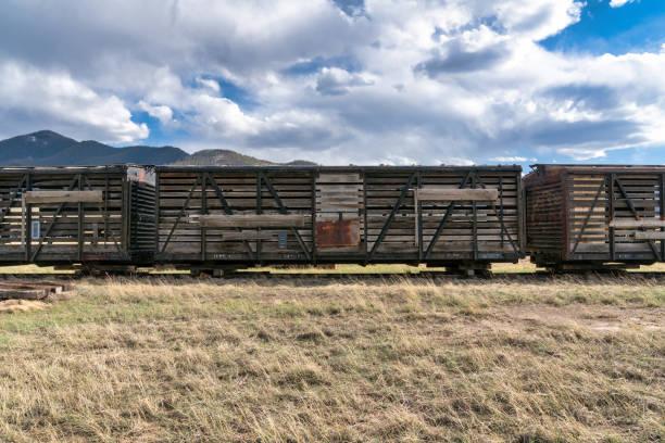 istock Old abandoned train in Colorado mountains 1325238895