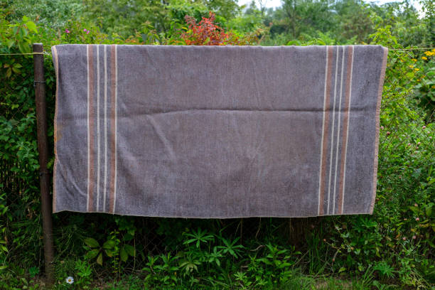 istock An old printed blanket hangs on the fence. 1325240525