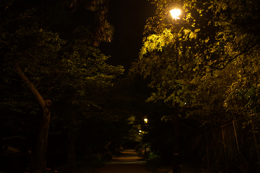 Bench. Park. Night. Lanterns. No people. Krakow. Poland