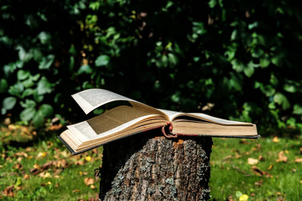 istock The open book lies on a tree stump in the garden. 1325242475