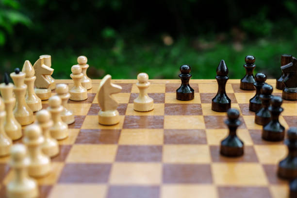 istock Chess duel in the garden. 1325242490
