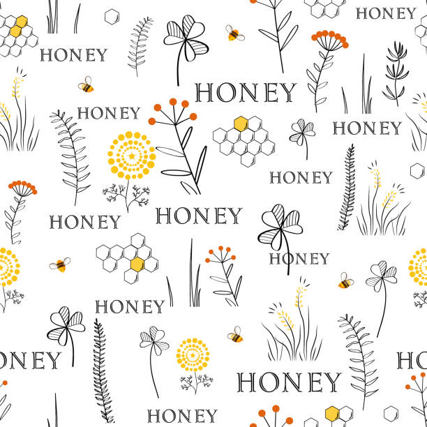 ilustrações de stock, clip art, desenhos animados e ícones de vector nature seamless background with hand drawn wild herbs, flowers and leaves on white. doodle style floral illustration - field image computer graphic bee
