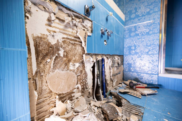 pared del baño con azulejos derribados - revelador de moho fúngico en los paneles de yeso húmedos - wall plasterboard vehicle interior indoors fotografías e imágenes de stock