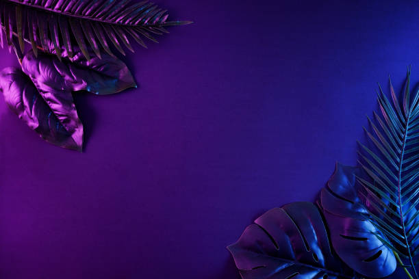 istock Moody contemporary illuminated night background with copy space and tropical exotic palms in a vibrant retro style. Minimal neon and botanical concept. 1325245202