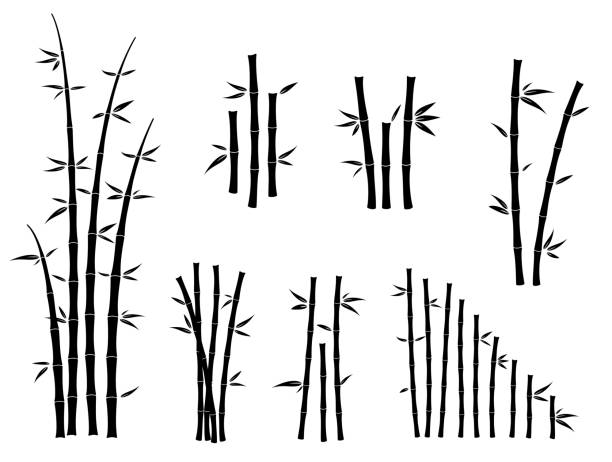 set of bamboo asian culture icons or asian bamboo silhouette isolated or various bamboo stalks and stems with leaves concept. eps vector set of bamboo asian culture icons or asian bamboo silhouette isolated or various bamboo stalks and stems with leaves concept. eps vector bamboo leaf stock illustrations