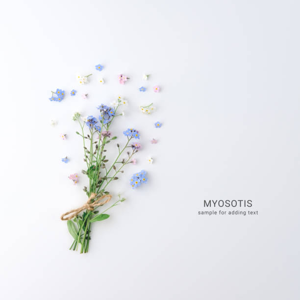 composition in flat lay style of myosotis flowers. - small bouquet imagens e fotografias de stock