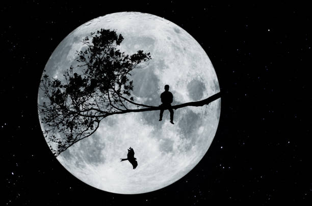 istock Silhouette in front of a full moon with man sitting on a tree and falcon 1325252014
