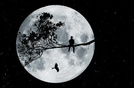 Silhouette in front of a full moon with man sitting on a tree and falcon