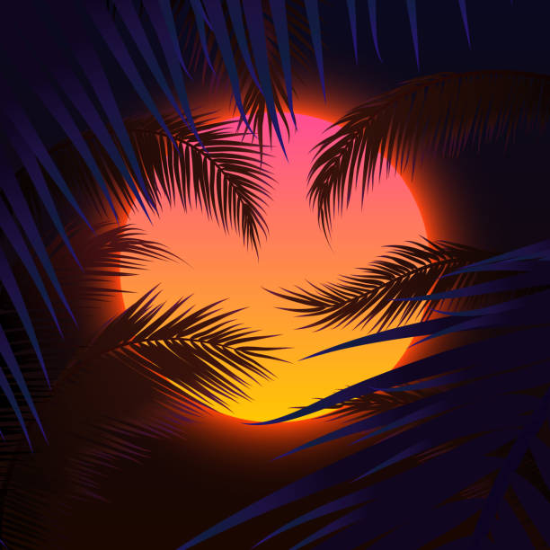 sonnenuntergang mit palmen, sonne und palmblatt - sunset beach sky heat stock-grafiken, -clipart, -cartoons und -symbole