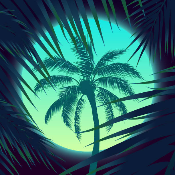 sonnenuntergang mit palmen, sonne und palmblatt - sunset beach sky heat stock-grafiken, -clipart, -cartoons und -symbole