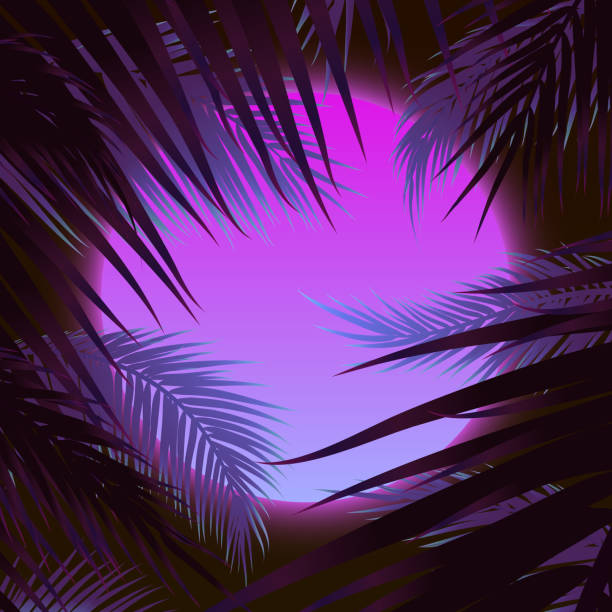 zachód słońca z palmami, fioletowym słońcem i liściem palmowym - sunset beach sky heat stock illustrations
