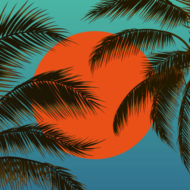 zachód słońca z palmami, słońcem i liściem palmowym - sunset beach sky heat stock illustrations
