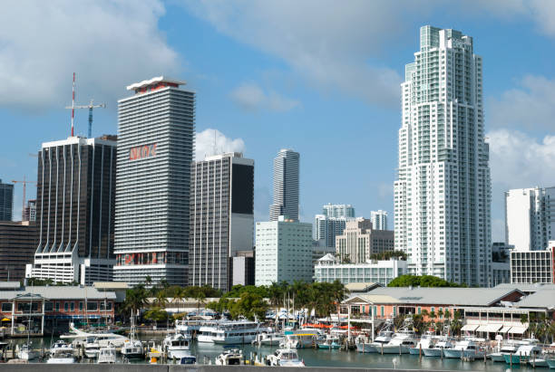 istock Miami Marina And Downtown Skyline 1325256613