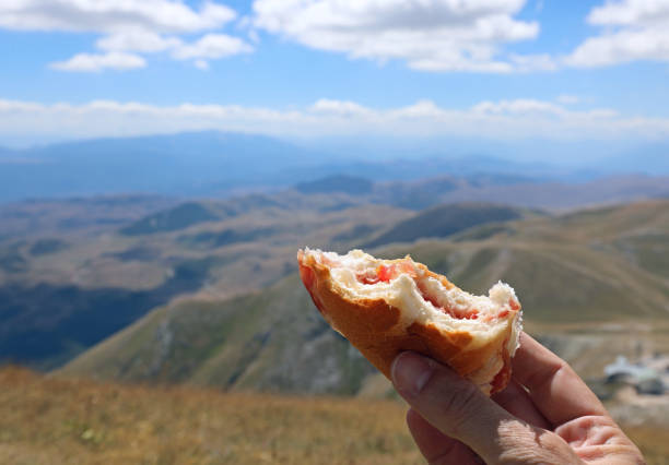 istock bitten by the hiker during the lunch break after the trip 1325257832