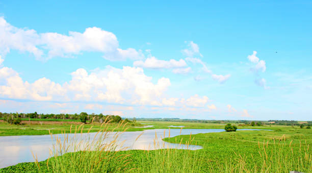 istock Way kanan hidden lake 1325258372
